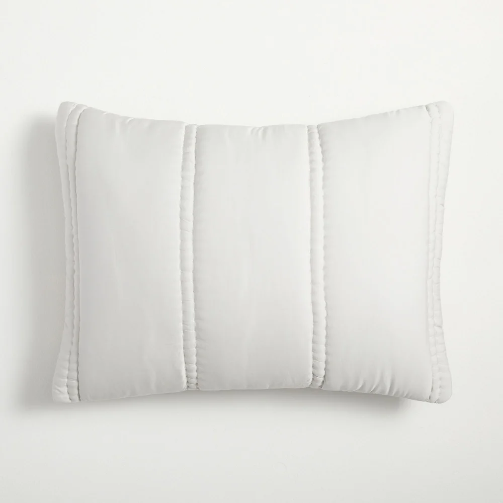 PRICE FIRM🛍West Elm NWT Frost Gray Plush King Size Sham 20